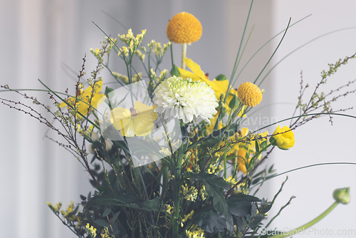 Image of Bouquet of colorful flowers in yellow