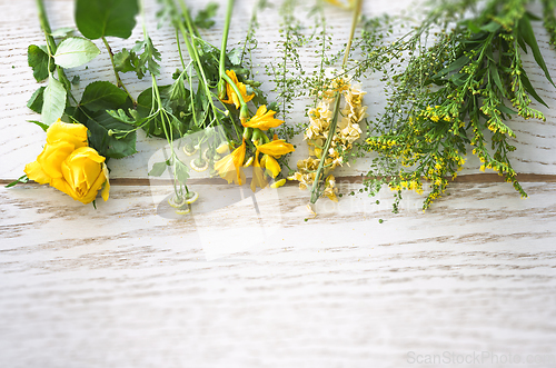 Image of Colorful flowers in yellow and green