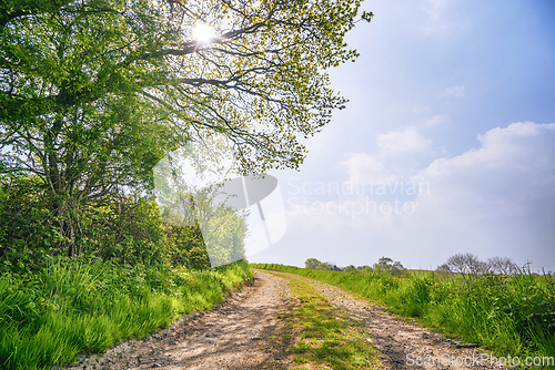 Image of Summer landscape with a dirt road