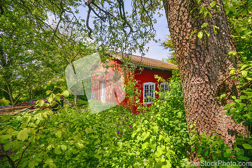 Image of Red summer hut in a green garden