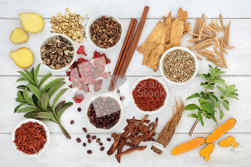 Image of Fresh and Dried Herbs and Spices for Immune Boost