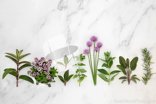 Image of Aromatic Herbs Freshly Picked for Food Seasoning