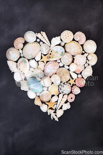 Image of Heart Shaped Sea Shell Wreath for Valentines Day