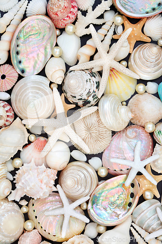 Image of Sea Shell Starfish and Oyster Pearl Background  