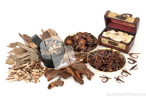 Image of Chinese Holistic Health Care for Herbal Plant Medicine