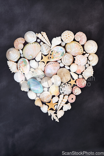 Image of Heart Shaped Sea Shell Wreath for Valentines Day