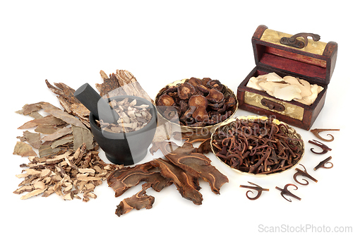 Image of Chinese Holistic Health Care for Herbal Plant Medicine