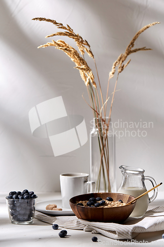 Image of oatmeal with blueberries, milk and cup of coffee