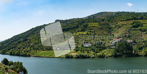 Image of Point of view shot of terraced vineyards in Douro Valley