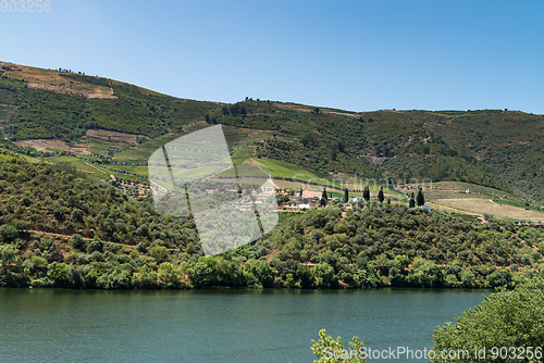 Image of Point of view shot of terraced vineyards in Douro Valley