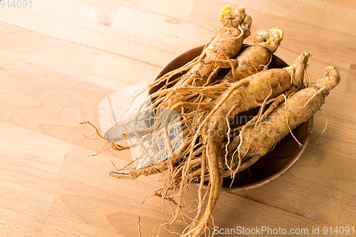 Image of Korean Ginseng