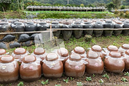 Image of Barrel of Vinegar store in outdoor