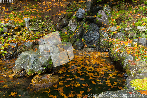 Image of Traditional Japanese park at autumn