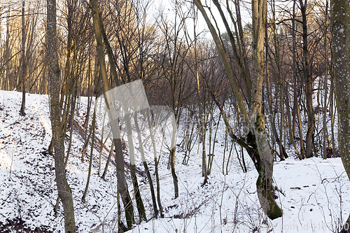 Image of Snow drifts in winter