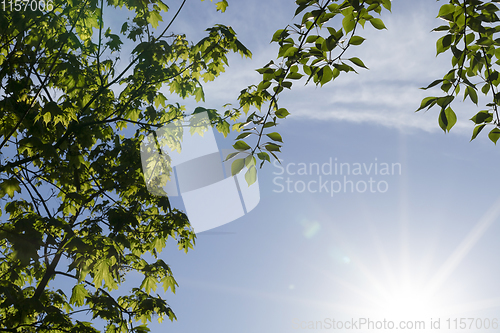 Image of sun shining