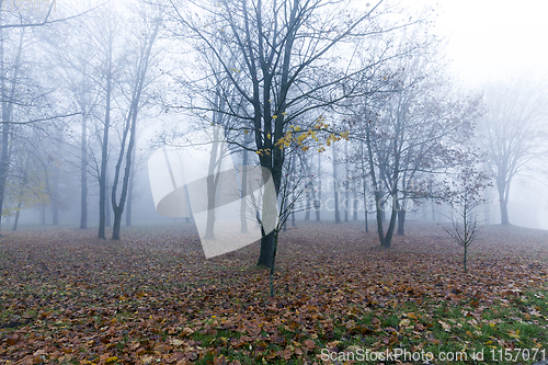 Image of park in autumn