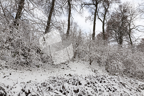 Image of Winter park with snow