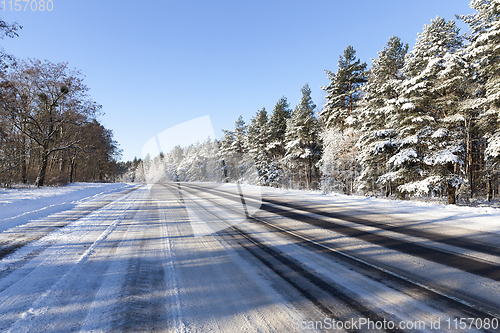 Image of Winter forest road