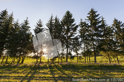 Image of landscape during sunset ,