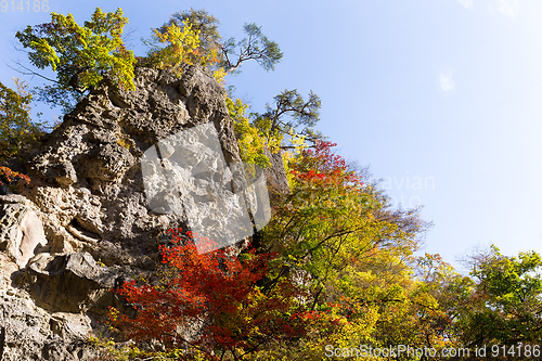 Image of Naruko gorge in Japan