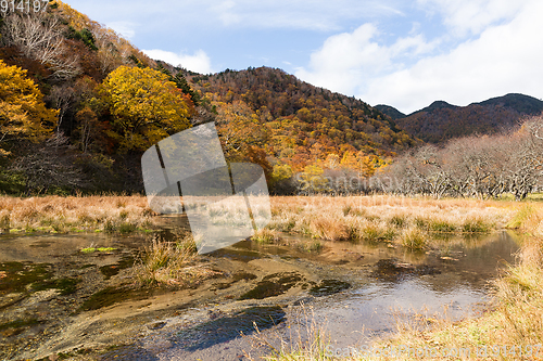 Image of Autumn landscape in Nikko