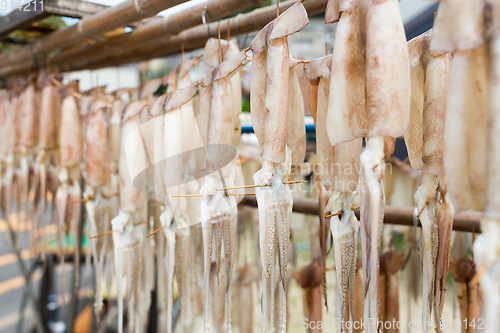 Image of Drying on squid