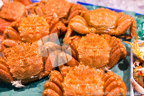 Image of Crab in wet market