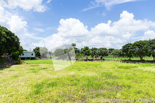 Image of Green meadow and blue sky