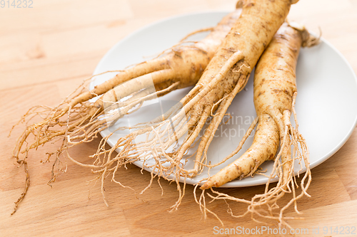 Image of Fresh korean ginseng on plate