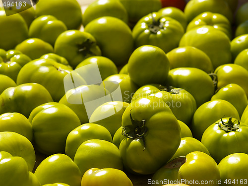 Image of green tomatoes