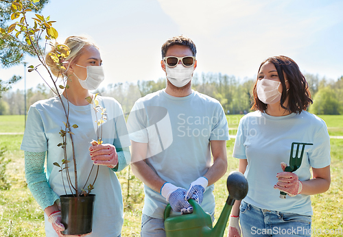 Image of group of volunteers with tree seedlings in park