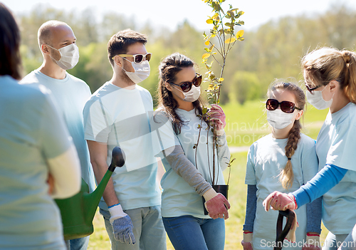 Image of group of volunteers in masks with tree seedling