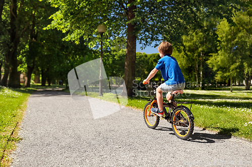 Image of little boy riding bicycle at summer park