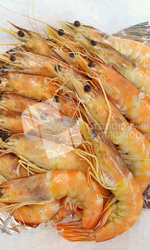 Image of Raw fresh king prawns at the counter in the store