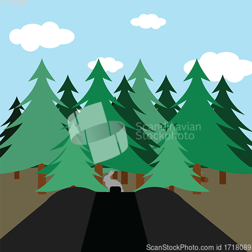 Image of Hunting in fir forest