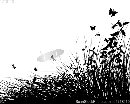 Image of Summer Meadow Background