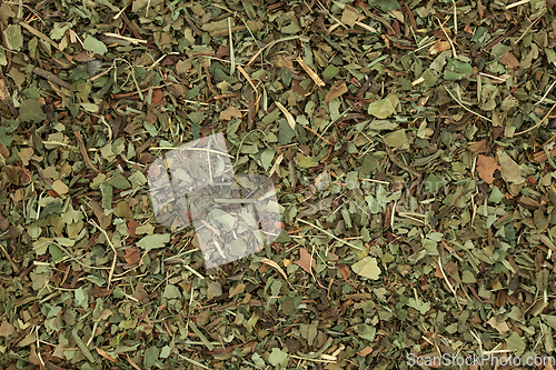 Image of Lungwort Herb Leaf Background