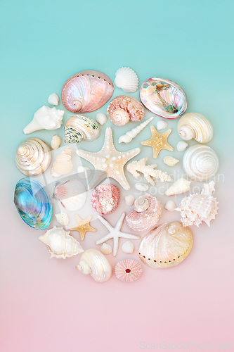 Image of Abstract Circle of Sea Shells Nature Composition