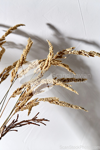 Image of decorative dried flowers in brown glass vase