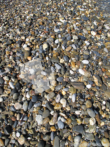 Image of Wet different sea pebbles on the beach