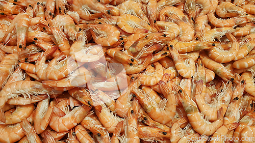 Image of Raw fresh shrimp at the counter in the store