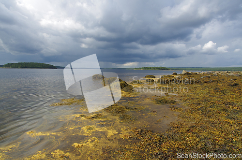 Image of White Sea coast in Karelia, Russia