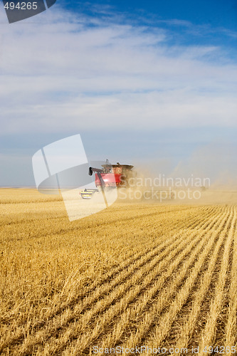 Image of Harvesting