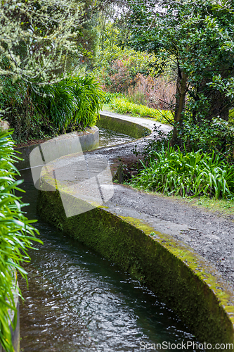 Image of beautiful Madeira landscape