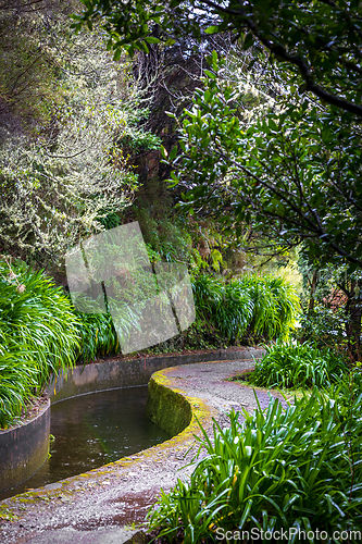 Image of beautiful Madeira landscape