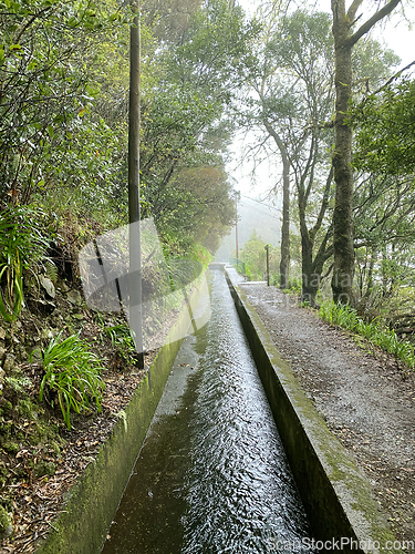 Image of beautiful Madeira landscape