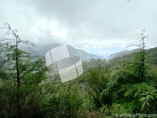 Image of beautiful Madeira landscape