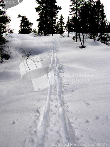 Image of tracks