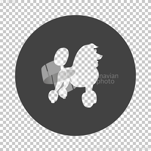 Image of Poodle icon