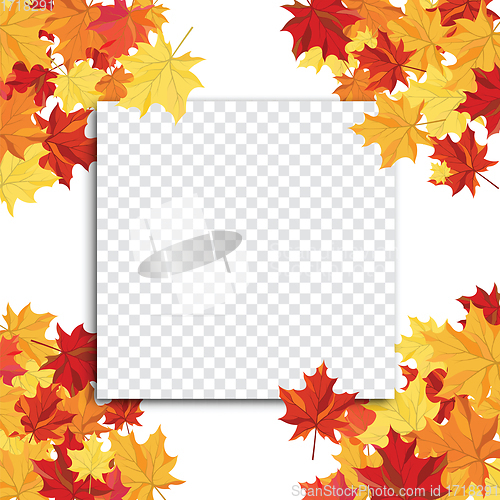 Image of Maple leaves on transparency grid